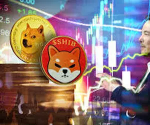 بازار برای دوج کوین و همراهانش چطورشده؟