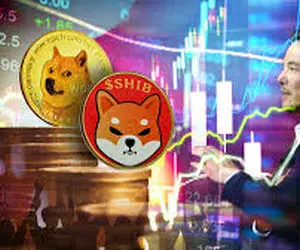 بازار برای دوج کوین و همراهانش چطورشده؟