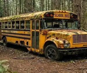 معماری خلاقانه؛ اتوبوس درپیت رو تغییر کاربری دادن به خونه تو خوابم قفله قشنگیش