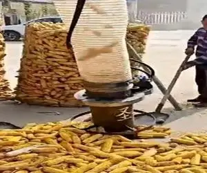 کشاورزی نوین؛ جاروبرقی هورت کش بلال ها رو میبلع و دون کرده و تر و تمیز تحویل میده