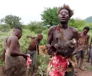 کباب خوک؛ بربرهای قبیله هذابه وحشیانه خوک رو کشتن گوشتشو تیکه کردنو خام خوردن