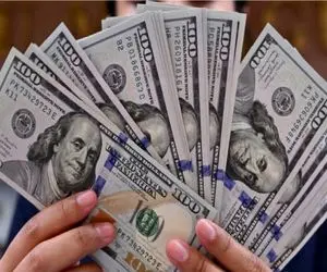 قیمت دلار امروز سه شنبه 25 آذر 1404؛ دلار یک پله بالاتر ایستاد