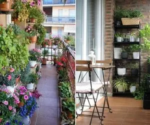 گیاهان مناسب بالکن و مقاوم در برابر سرما و گرما / همیشه سبز و با دوام در همه ی فصول