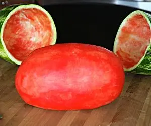 ابلهانه های جذاب؛ هندوانه را بستن به دستگاه تراش و براده بر میدارن تا برسن به مغز سرخ