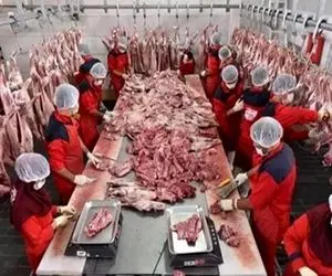 واردات گوشت از پاکستان به ازای صادرات این کالا