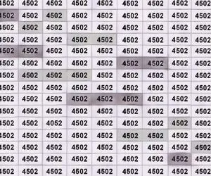 بازی فکری؛ فقط ۱٪  از نامبر وان ها میتونن «۴۰۵۲» رو بین «۴۵۰۲» پیدا کنن