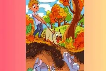 بازی فکری؛ کارآگاه پوآرو تو 1 ثانیه حلزون رو پیدا کرد آدم عادی نمیتونه اگه بتونی خاصی