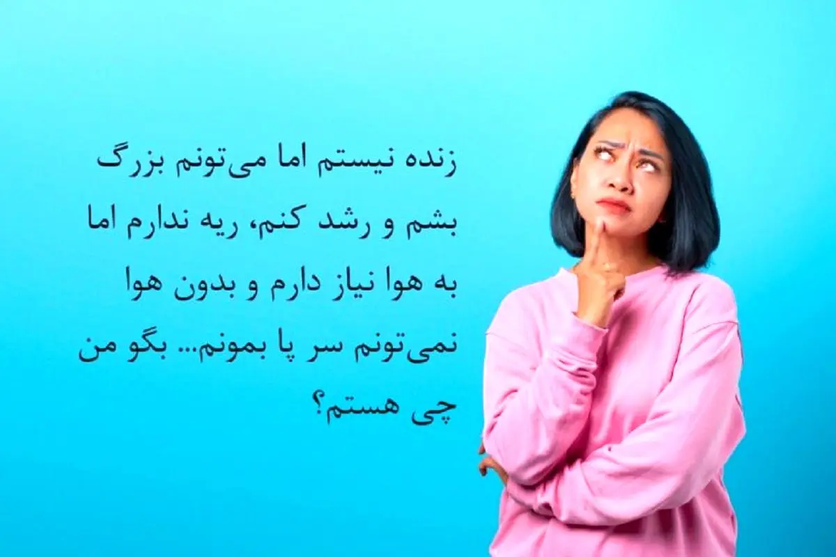 photo_2024-02-10_19-56-45-768x512