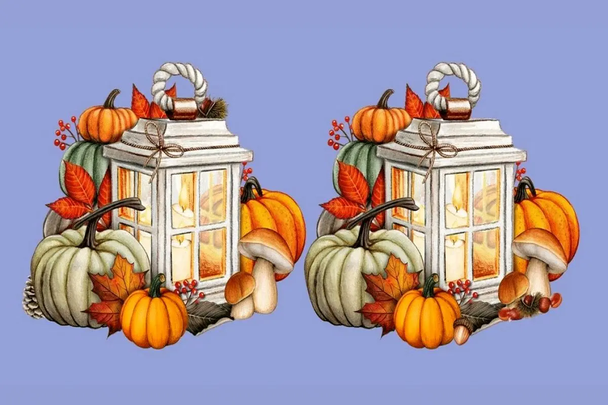 تفاوت-تصویری-فانوس-شمعی-با-تزئینات-پاییزی