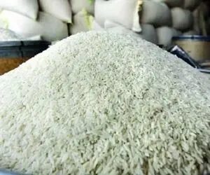 رشد 69 درصدی قیمت برنج؛ برنج 300 هزار تومانی واقعی است؟