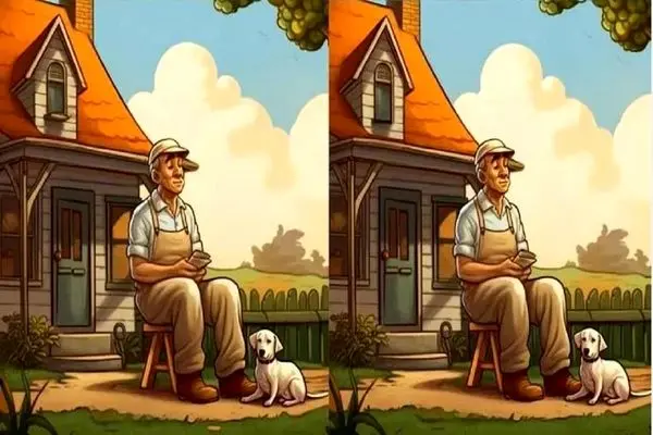 بازی فکری؛ تیزبینی چشات باید در حد سرعت یوز ایرانی باشه تا بتونی 3 تفاوت تصویرو بگی