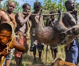 کباب کفتار؛ بربر های آفریقا کفتار شکار میکنن یه سیخ میکنن توش و بریون می خورن