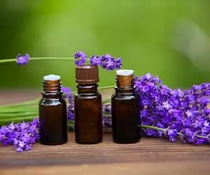 خواص روغن گل بنفشه از سلامت پوست تا درمان بیماری