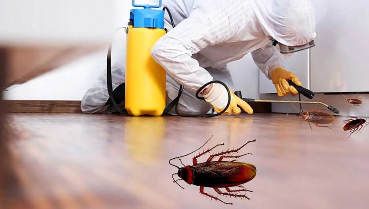 cockroache-professional-Spraying-Service-1110x630-1