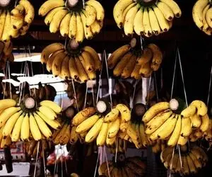 موز گران شد؛  هر بسته تمرهندی ۱۶۰ هزار تومان!