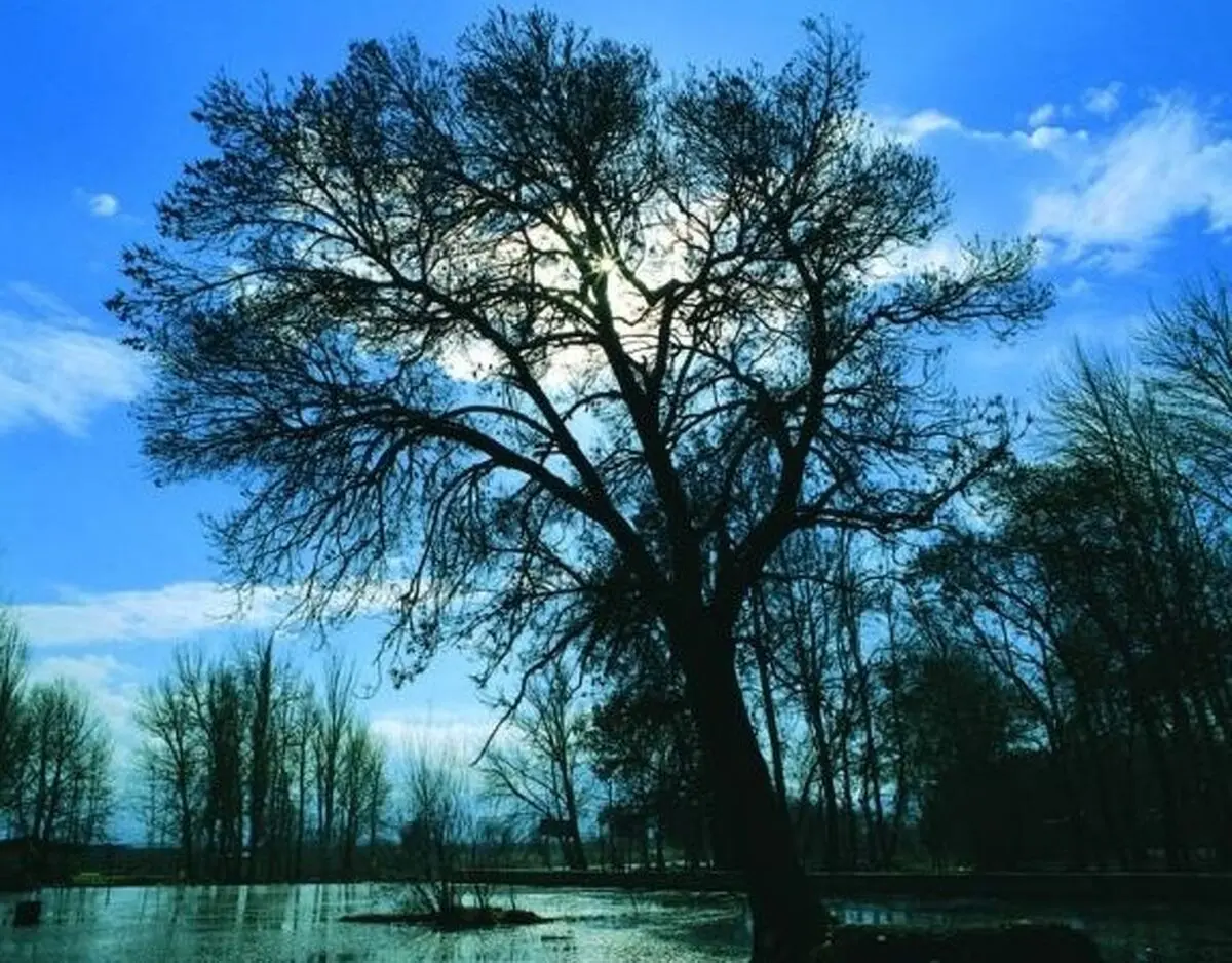سنقر-اباد-4ا