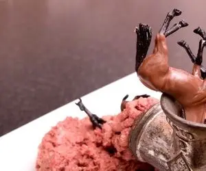 فرآوری اسب؛ اسب های پیر از کار افتاده رو با دستگاه چرخ میکنن بشه غذای پولدارا