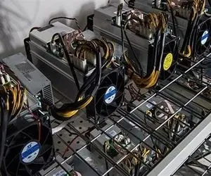 جولان قاتلان «برق» در سوله‌های راکد صنعتی/ قزوین‌