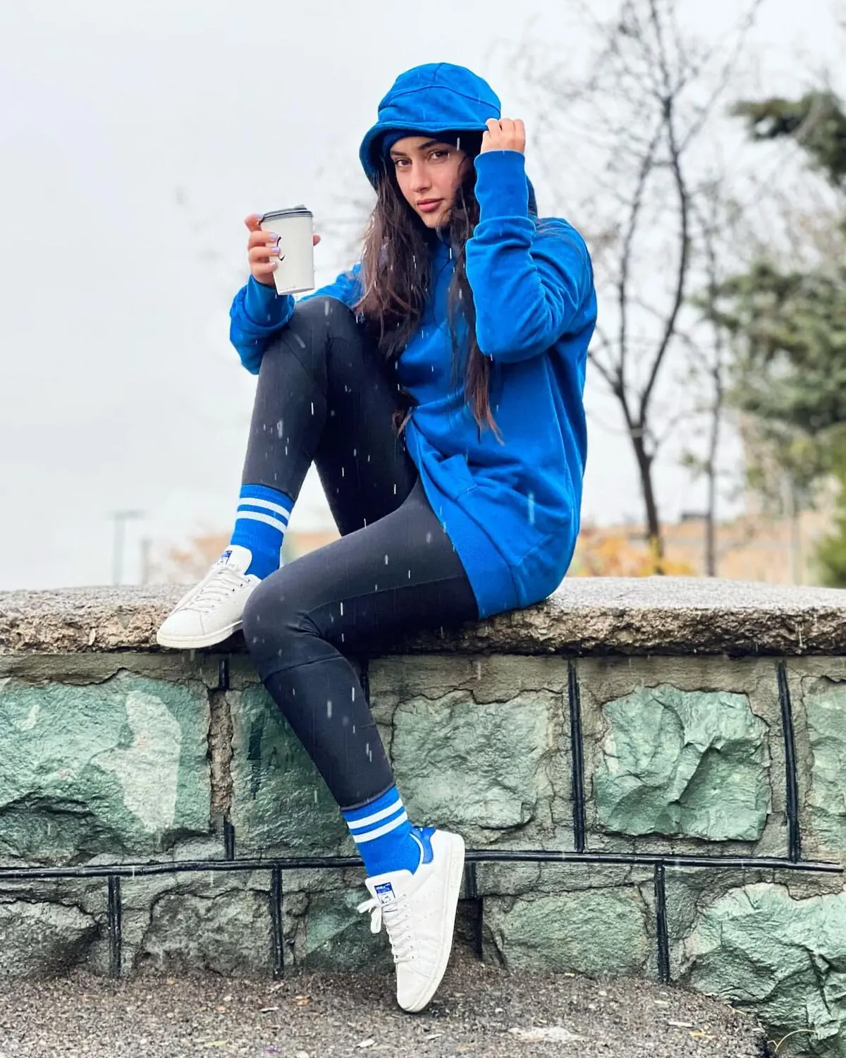 tarlan_parvanee_1636126736