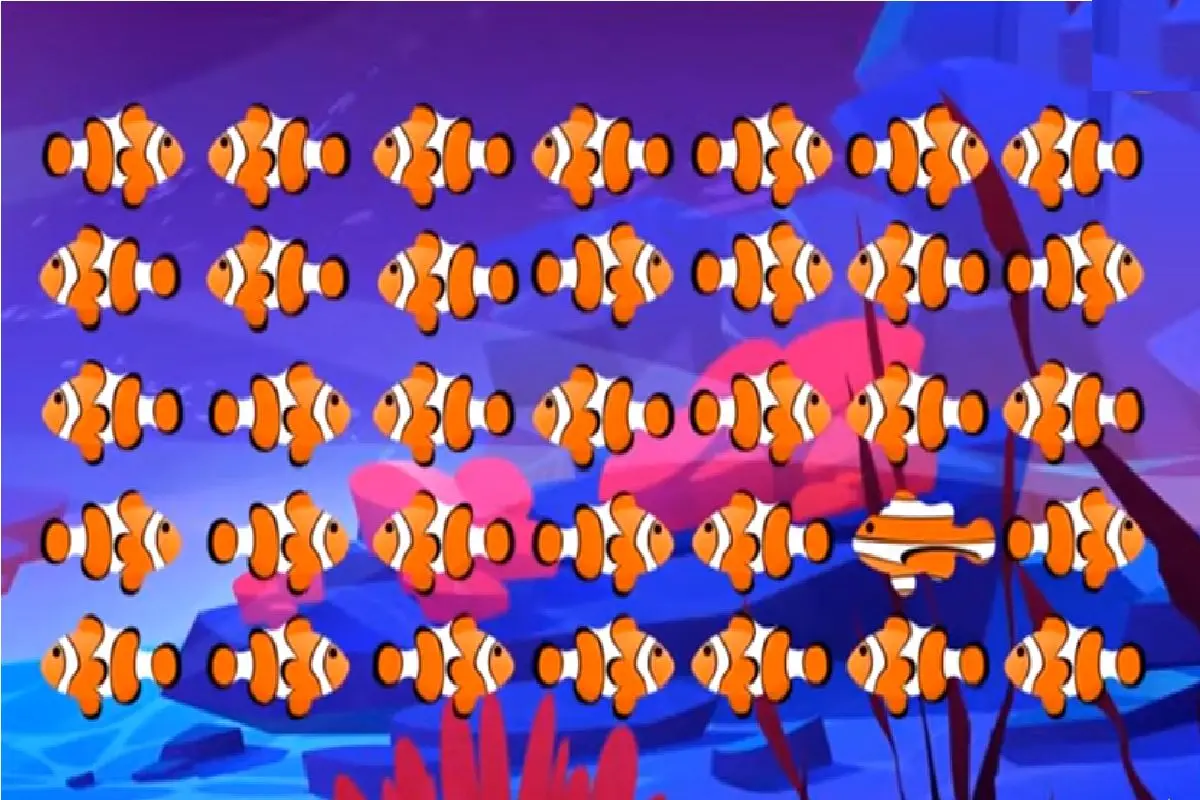 نمو