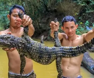 کباب تمساح؛ گشنه های برهنه بی تمدن که کروکودیل رو انداختن تو آبجوش بعدم خوردن