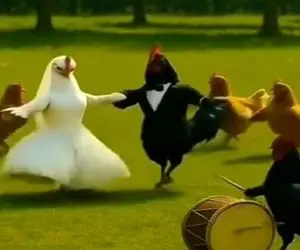 آواز شاد؛ رقص مرغا تو عروسی مرغ و خروس دیده بودین؟ ته خندس این عروسی مرغی