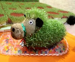 ایده های خلاقانه؛ سبزه پرتقال و گندمو که همه بلدن تو یه چیز جدید سبز کن مثلا دانه چیا