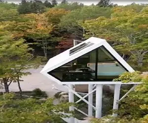 معماری خلاقانه؛ خونه نقلی ساختن قعر جنگل 2000 هم قد درختا برا زندگی لوکس تو دل طبیعت