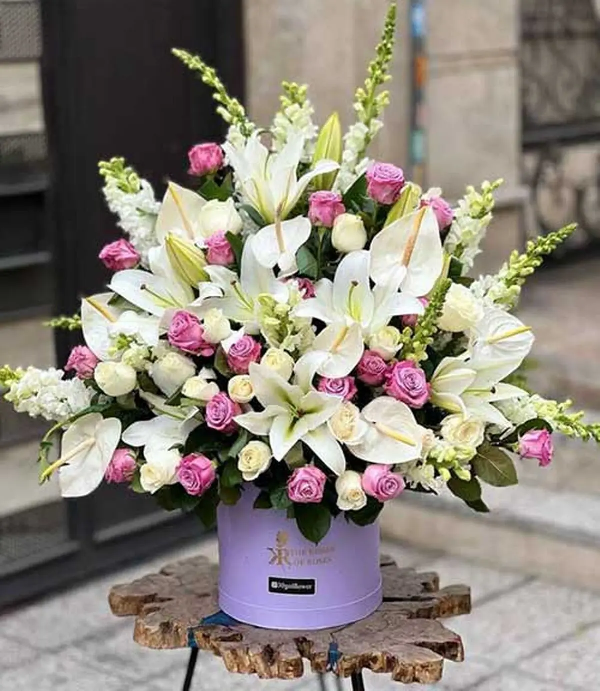 باکسو6