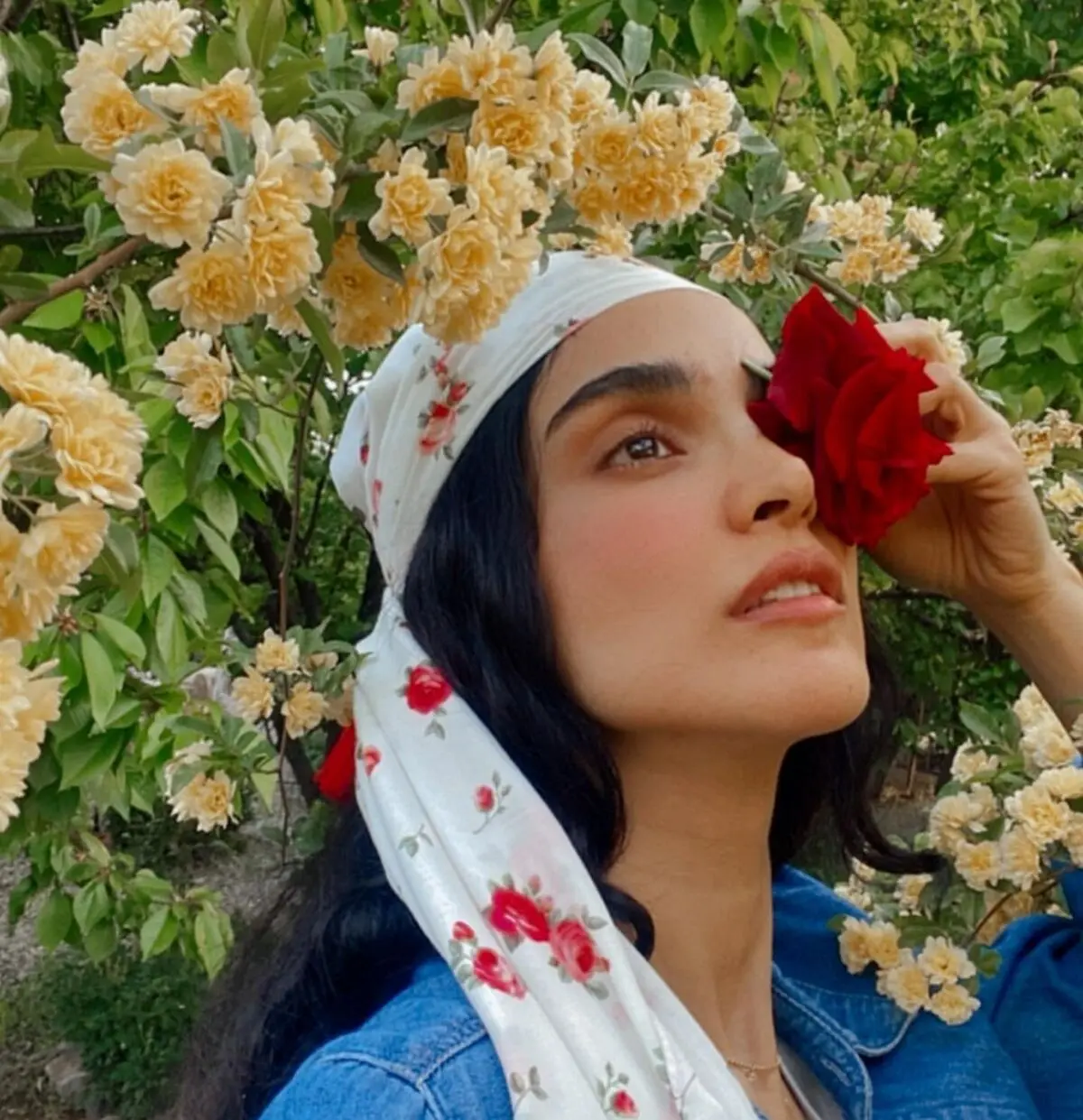 الهه حصاری
