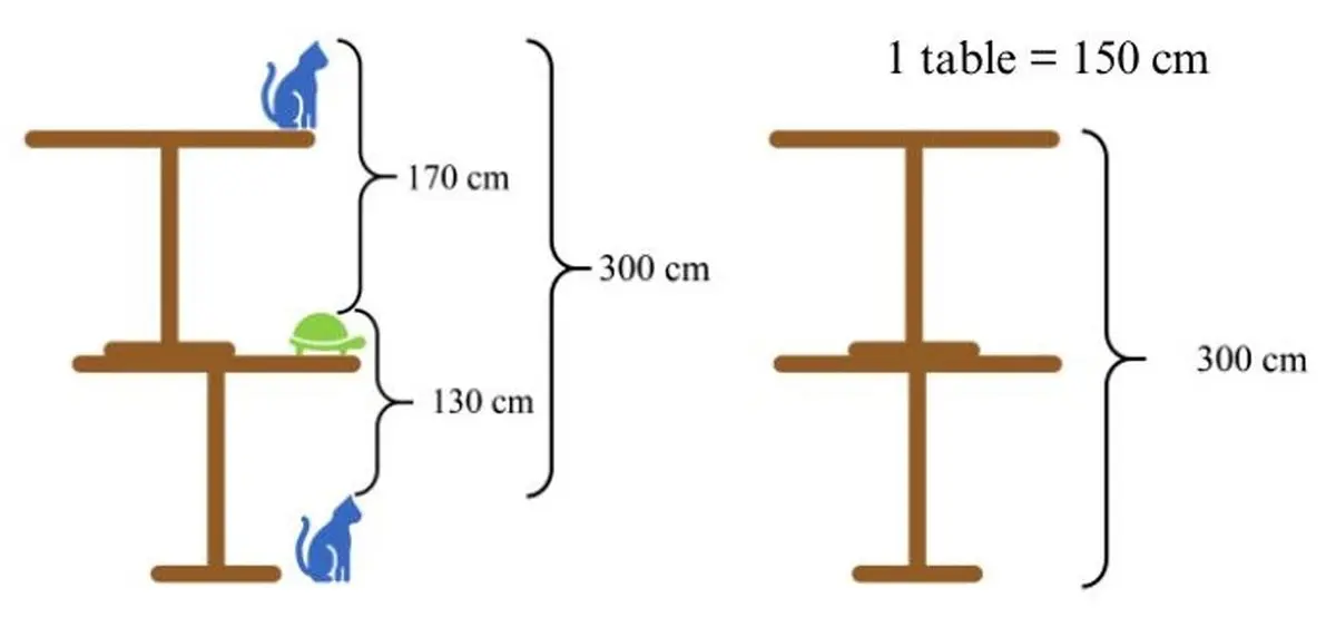 cat-tortoise-table-height-brain-teaser-with-answers