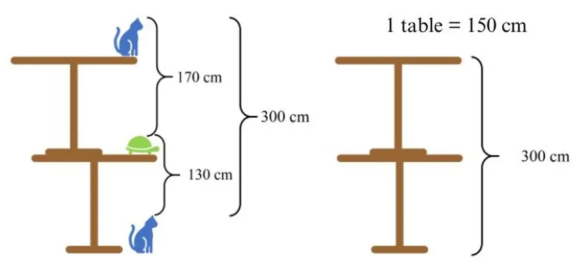 cat-tortoise-table-height-brain-teaser-with-answers