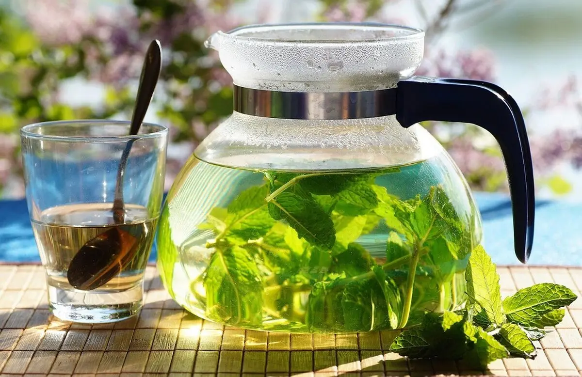 b2ap3_large_5b97ec75932c326cb840cb31_Mint-Tickets-Fresh-Tea-Herbal-Drink-Healthy-3383558