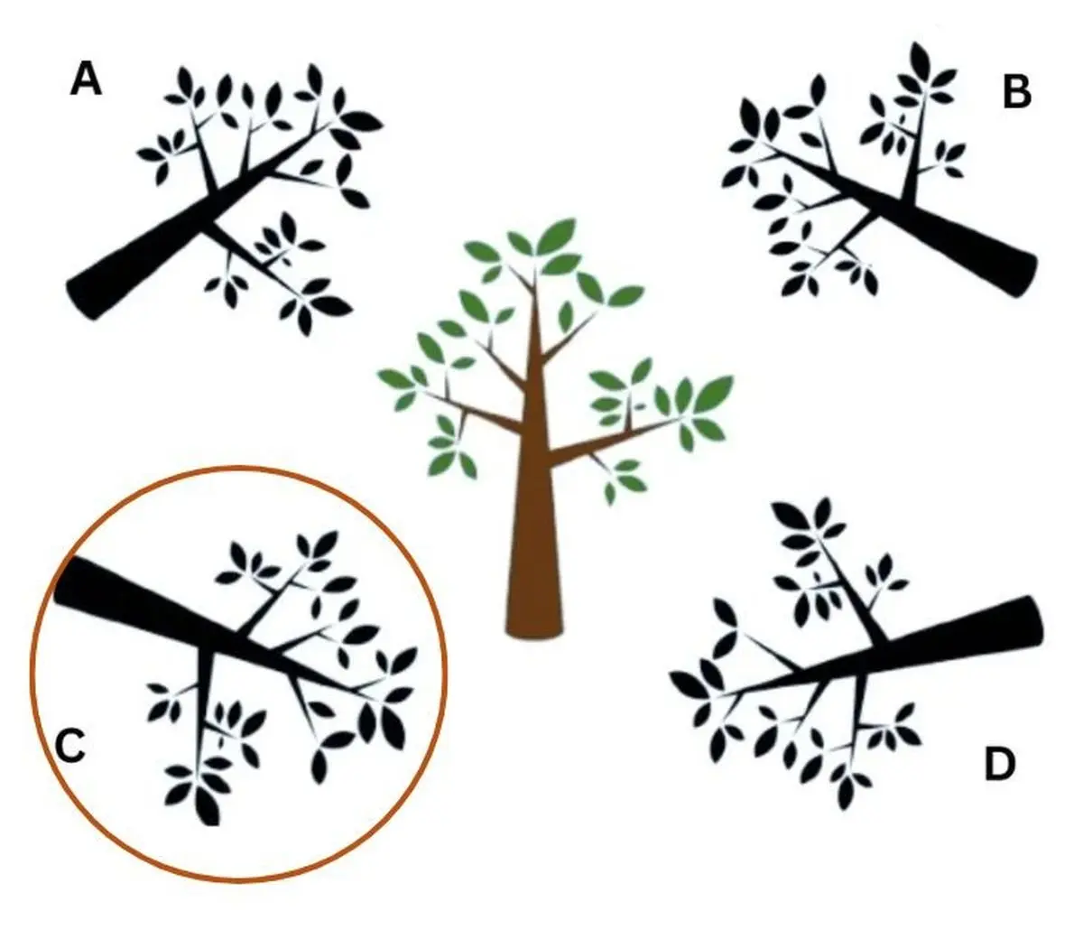 Josh-Folder-(24)-1765866292343