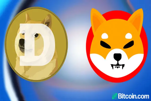 SHIBAINU dogcoin