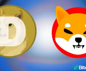 نحوه سهام گذاری با شیبا اینو و دوج کوین؟!