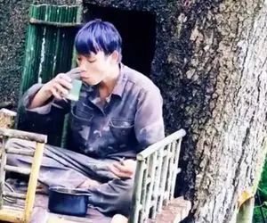 معماری خلاقانه؛ آقاهه رفته تو تنه درخت واسه خودش کلبه ساخته تراسشو ببین چه جذابه