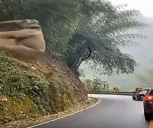 معماری طبیعت؛ فیل ملق زنان از بالا تپه پرت شد وسط جاده
