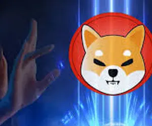 حرکتی جدید و مرموز ازشیبااینو!!