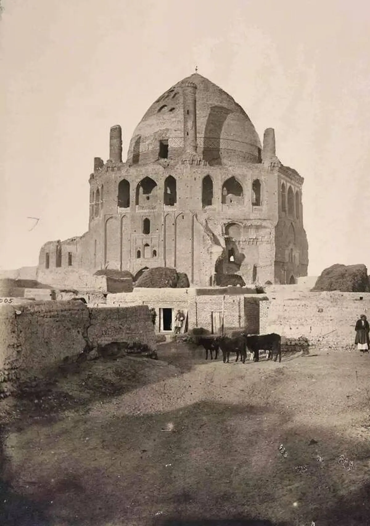 صضقضص