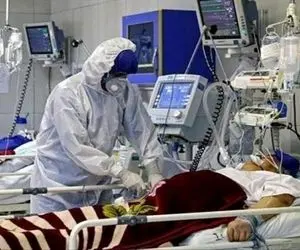 کرونا ۶۱۰ هموطن دیگر را به کام مرگ کشاند!
