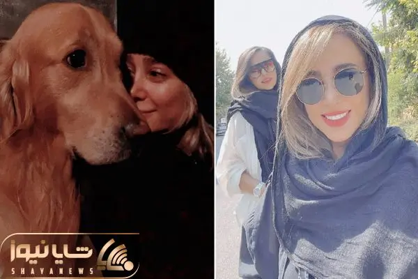 elnaz habibi shayanews