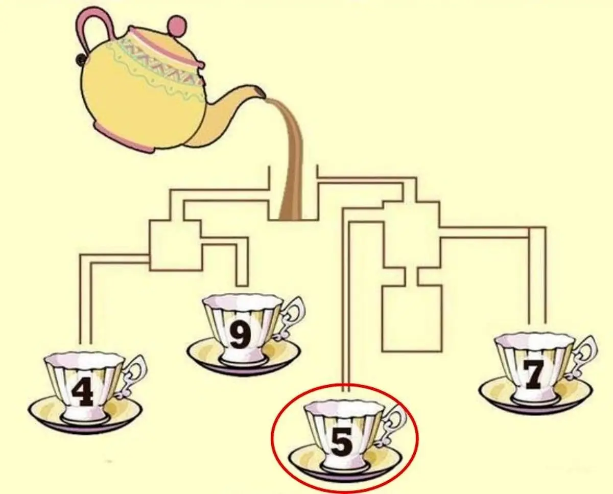 which-cup-will-fill-first-brain-teaser-answers-compressed