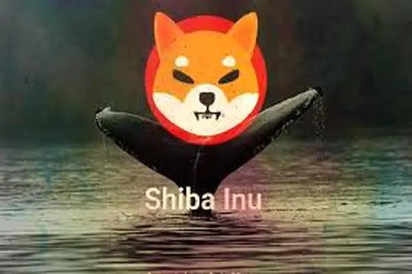 SHIBAINU