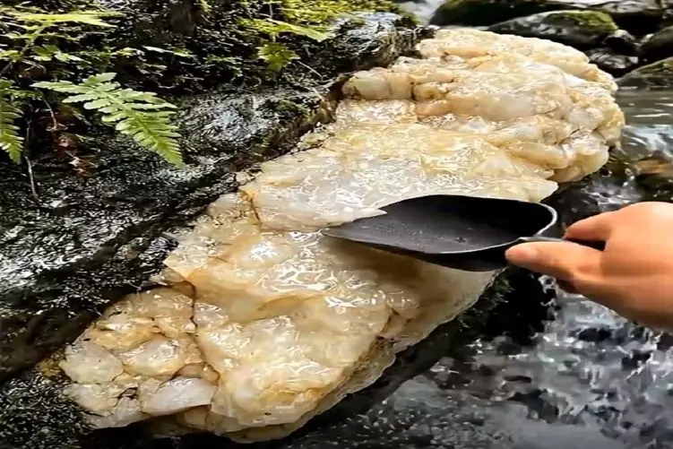 معماری طبیعت؛ طرف بنده مقرب درگاه خداست سنگ کنار رودخونه پیدا کرد شکوند توش شمش طلاس