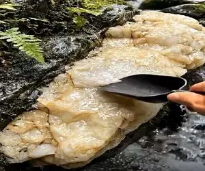 معماری طبیعت؛ طرف بنده مقرب درگاه خداست سنگ کنار رودخونه پیدا کرد شکوند توش شمش طلاس