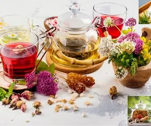 بمب انرژی بلغمی ها ؛ 7 دمنوش رفع سردی معده ارزون و خونگی که هیچ کس بهتون نمیگه!