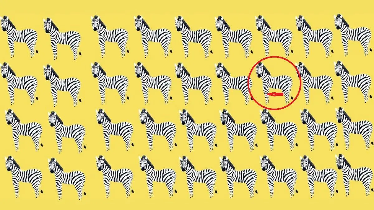 پاسخ-تست-بینایی-یافتن-گورخر-متفاوت