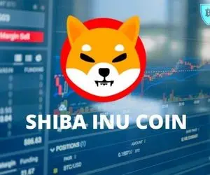 شیبااینو وارد عرصه ای انفجاری!!