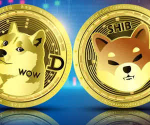 حماسه های طلایی از دوج کوین و شیبااینو!